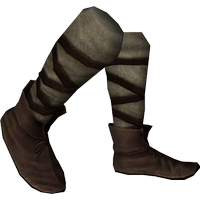 itm_rus_shoes.png